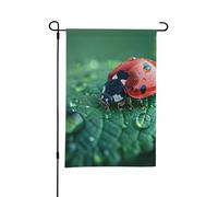 Drapeaux de jardin double face - 30 x 45 cm - Drapeau de bienvenue saisonnier - Noir - Coccinelle - Petit drapeau de jardin pour printemps et été - Pour décorations extérieures de cour, pelouse