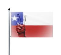 Drapeaux De Jardin Drapeau Chilien Le Signe De La Paix De L'Étoile Solitaire Grand Drapeau Décoration Couleurs Vives Bannière, Pour Les Bureaux, Balcon, Les Défilés, 90x150cm