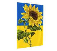 Drapeaux de jardin, drapeau de l'Ukraine le soleil se lèvera drapeau jardin tournesol drapeaux nationaux ukrainiens patriotiques 30x45 cm pour un usage quotidien