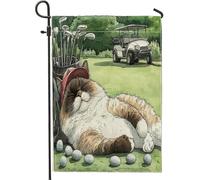 Drapeaux de jardin drôles en forme de chat Ragdoll - 30,5 x 45,7 cm - Double face pour décoration extérieure, golf, sport, chaton - Joli drapeau amusant pour animal de compagnie - Petit drapeau de