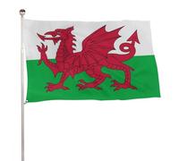 Drapeaux De Jardin Du Pays De Galles Gallois Bannière Extérieure Premium Drapeau Extérieur Toutes Les Saisons Treer Drapeau Pour Ferme Patio S
