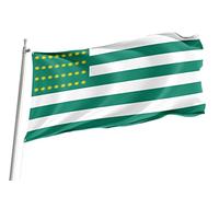 Drapeaux De Jardin Étoiles Et Rayures Féniennes 1867 Bannière Extérieure Résiste Aux Intempéries Drapeau Extérieur Toutes Les Saisons Treer Drapeau Pour Ferme Célébrations M