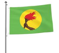 Drapeaux De Jardin Flag Du Zaïre (1971-1997) Grand Drapeau Personnalisés Imprimé Bannière, Pour Balcon, D'Intérieur, Jardin, 90x150cm
