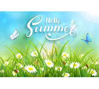 Drapeaux De Jardin Hello Summer Butterflies Flying Above The Grass Treer Drapeau Décorations Garden Flag Pour Jardinage Patio Ferme 90X150 CM