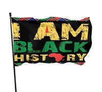 Drapeaux De Jardin Histoire Des Noirs, Fierté Noire Afro-Américaine Drapeau Paysage Décoration Renforcé Avec Bannière À Œillets, Pour Jardin, D'Intérieur, Les Défilés, 90X150Cm