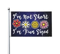 Drapeaux De Jardin I'M Not Short I'M Fun Sized Drapeau Fierté Imperméabiliser Drapeaus Décoratif Résistant Bannières Extérieure Pour Festivals Défilé Balcon 90X152CM