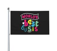 Drapeaux De Jardin La Meilleure Grande Sœur Du Monde Bannières Extérieure Résistant Bannière De Jardin Pour Vacances Balcon Cour 90X150 CM