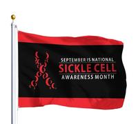 Drapeaux De Jardin Le Mois De Sensibilisation À La Drépanocytose Est Célébré Chaque Année En Septembre Drapeau Fierté Résistant Drapeaus Décoratif Durable Bannières Extérieure Pour 90X152CM