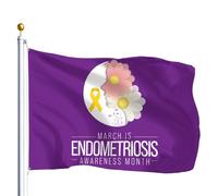 Drapeaux De Jardin Le Mois De Sensibilisation À L'Endométriose Est Célébré Chaque Année En Mars Drapeau Fierté Decoration Drapeaus Décoratif Durable Bannières Extérieure Pour Défilé 90X152CM