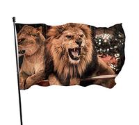 Drapeaux De Jardin Lion Grand Drapeau Lavable Imprimé Bannière À Œillets, Pour D'Intérieur, Balcon, Jardin, 90x150cm