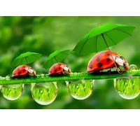 Drapeaux De Jardin Little Ladybugs With Umbrella Walking On The Grass Treer Drapeau Décorations Pelouse Drapeaux Pour Jardinage Patio Ferme 90X150 CM