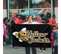 Drapeaux De Jardin Logo De L'American International College Drapeaus Décoratif Résistant Drapeau Fierté Imperméabiliser Bannières Extérieure Pour Défilé Fête Festivals 90X152CM