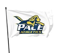 Drapeaux De Jardin Logo De L'Université Pace De New York Drapeau Fierté Couleurs Vives Bannières Extérieure Résistant Bannière Jardins Pour Fête Balcon Défilé 90X152CM