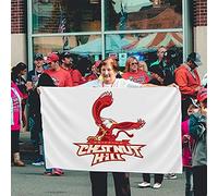 Drapeaux De Jardin Logo Du Chestnut Hill College Bannières Extérieure Decoration Drapeaus Décoratif Durable Bannière Jardins Pour Balcon Célébrations Défilé 90X152CM