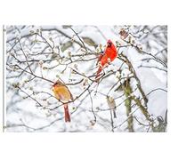 Drapeaux De Jardin Merry Christmas And Winter Snow Scene Cardinal Birds Treer Drapeau Toutes Les Saisons Drapeau Extérieur Pour Célébrations Balcon Fête Ferme 90X150 CM