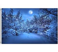 Drapeaux De Jardin Moonlight In Winter Christmas Night Snow Tree Seasonal Landscape Pelouse Drapeaux Toutes Les Saisons Bannière Extérieure Pour Jardinage Célébrations Balcon Fête 90X150 CM