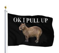 Drapeaux De Jardin Ok Je M'Arrête Drapeau Fierté Durable Drapeaus Décoratif Résistant Bannières Extérieure Pour Célébrations Balcon Festivals 90X152CM