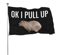 Drapeaux De Jardin Ok Je Tire Capybara Bannière Jardins Durable Drapeau Fierté Résistant Drapeaus Décoratif Pour Défilé Festivals Balcon 90X152CM
