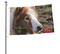 Drapeaux de jardin personnalisés avec œillets, motif chien tenant une rose (90 x 60 cm).