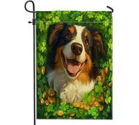 Drapeaux de jardin pour la Saint-Patrick, motif chien de Bretagne, 30,5 x 45,7 cm, double face pour extérieur, motif trèfle en toile standard, drapeau de maison, trèfle pour animal de compagnie, cour
