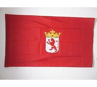 Drapeaux De Jardin Province De León León Drapeau Militaire Couleurs Vives Traditionnel Bannière À Œillets, Pour D'Intérieur, Jardin, Les Défilés, 90x150cm