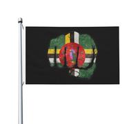 Drapeaux De Jardin Puissance Du Poing De La Dominique Drapeau Militaire Couleurs Vives Personnalisés Bannière À Œillets, Pour Les Bureaux, Les Défilés, Jardin, 90x150cm