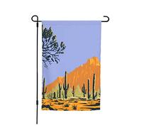 Drapeaux De Jardin Saguaro Cactus In The Ironwood Forests National Monument Section Of The Sonoran Coupe-Vent Et Étancheune Bannière Extérieure Premium Pelouse Drapeaux Pour Balcon Fête Ferme M