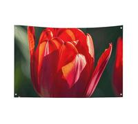 Drapeaux de jardin saisonniers - Décoration de maison de printemps - Belles fleurs rouges - Drapeaux de cour double face pour décoration de festival en plein air