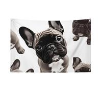 Drapeaux de jardin saisonniers double face pour maison, bouledogue français, grand drapeau pour terrasse, pelouse, maison, extérieur, décoration de vacances