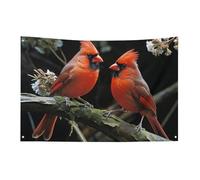 Drapeaux de jardin saisonniers double face pour maison, cardinaux, oiseaux, faune, grand drapeau sauvage pour terrasse, pelouse, maison, extérieur, décoration de vacances