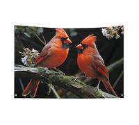 Drapeaux de jardin saisonniers double face pour maison, cardinaux, oiseaux, faune, grand drapeau sauvage pour terrasse, pelouse, maison, extérieur, décoration de vacances