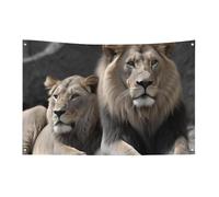 Drapeaux de jardin saisonniers double face pour maison, mâles et femelles, grand drapeau pour terrasse, pelouse, maison, extérieur, décoration de vacances
