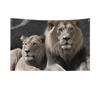 Drapeaux de jardin saisonniers double face pour maison, mâles et femelles, grand drapeau pour terrasse, pelouse, maison, extérieur, décoration de vacances