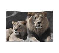 Drapeaux de jardin saisonniers double face pour maison, mâles et femelles, grand drapeau pour terrasse, pelouse, maison, extérieur, décoration de vacances