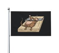 Drapeaux De Jardin Souricière Double Face Drapeau Décoratif Suspendre Bannière De Cour Pour Fête Intérieur Maison 3X5 Ft