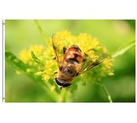 Drapeaux De Jardin Syrphidae Insects In Wild Flowers Spring Summer Natural Seasonal Scenery Bannière Extérieure Premium Drapeau Extérieur Pour Patio Balcon Fête Ferme 90X150 CM