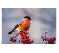 Drapeaux De Jardin Winter Birds On The Berry Tree Pelouse Drapeaux Résiste Aux Intempéries Drapeau Extérieur Pour Jardinage Patio Ferme 90X150 CM