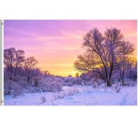 Drapeaux De Jardin Winter Landscape With Sunset Snow Tree In The Seasonal Nature Bannière Extérieure Décorations Pelouse Drapeaux Pour Patio Célébrations Balcon Fête 90X150 CM