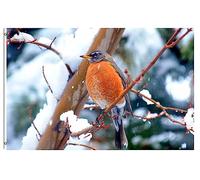 Drapeaux De Jardin Winter Scene Bird In Winter Snow Tree Treer Drapeau Décorations Pelouse Drapeaux Pour Jardinage Célébrations Balcon Fête 90X150 CM