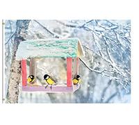 Drapeaux De Jardin Winter Snow Scene Birds On Feeder In Winter Garden Flag Coupe-Vent Et Étancheune Drapeau Extérieur Pour Ferme Célébrations Jardinage 90X150 CM