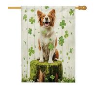 Drapeaux de maison de Bretagne de la Saint-Patrick - 71 x 101 cm - Double face - En toile de jute standard - En bois de trèfle - Pour la maison - Décoration extérieure