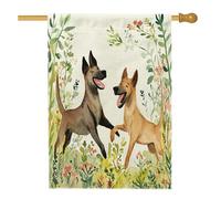 Drapeaux de maison de chien malinois belge de printemps 71,1 x 101,6 cm double face pour décoration, jolies fleurs florales avant cour en toile de jute pour animaux de compagnie, drapeaux décoratifs