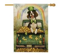 Drapeaux de maison de la Saint-Patrick en Grande-Bretagne - 71,1 x 101,6 cm - Double face pour extérieur, ferme, camion, chiot - Toile verticale standard - Décoration de maison - Arc-en-ciel