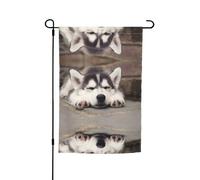 Drapeaux de pavillon Husky Dog avec motifs, adaptés pour la décoration de jardin, de balcon et de terrasse.