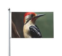 Drapeaux de pivert pour l'extérieur de 0,9 x 1,5 m, drapeau de jardin saisonnier double face avec œillets, drapeau d'extérieur pour décoration de maison, toile de fond pour photo