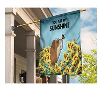 Drapeaux De Vacances Supérieure Drapeaux De Pirate Drapeau De Jardin Décoration Pour Maison Porche Pelouse Bouledogue Noir Et Feu Dans Un Champ De Tournesols, Tu Es Mon Soleil S