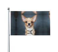 Drapeaux décoratifs double face, jolis drapeaux à motif chihuahua avec œillets, adaptés pour accrocher dans les jardins et les fêtes.