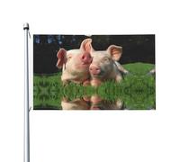 Drapeaux décoratifs double face, jolis drapeaux à motif d'herbe de cochon avec œillets, adaptés pour accrocher dans les jardins et les fêtes.