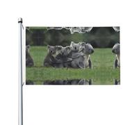 Drapeaux décoratifs double face, jolis drapeaux à motif koala avec œillets, adaptés pour accrocher dans les jardins et les fêtes.