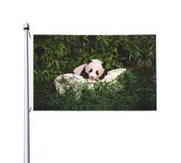 Drapeaux décoratifs double face, jolis drapeaux à motif panda avec œillets, adaptés pour accrocher dans les jardins et les fêtes.